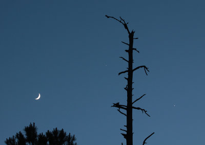 Moon, Venus, and Jupiter