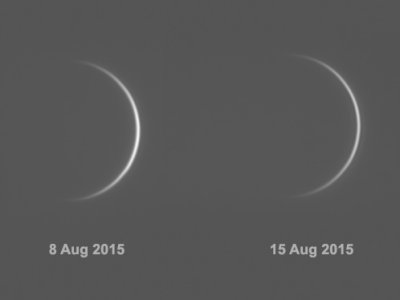 Venus: August 8 and 15, 2015