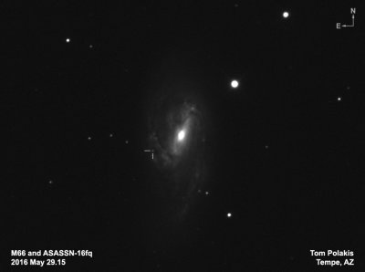 M66 and Supernova ASASSN-16fq