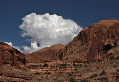 Dead Horse State Park and Canyonlands National Park