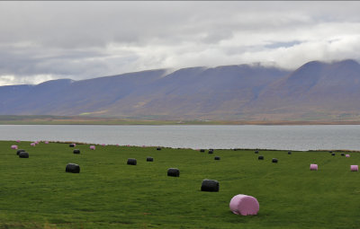Across from Akureyri