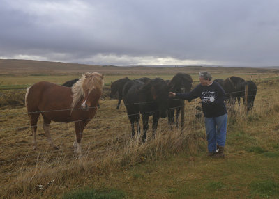 Northwest Iceland