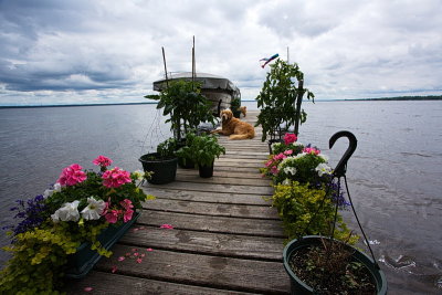 Dock Life/Georgie