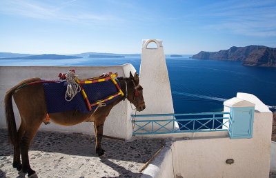 Mule Power in Santorini