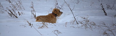 Murphy contemplates winter