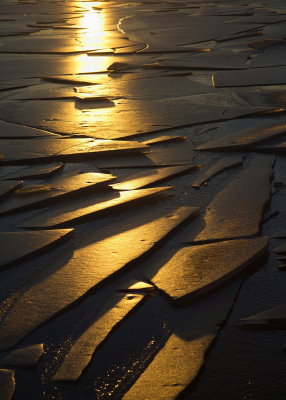 Setting Sunlight over Ice