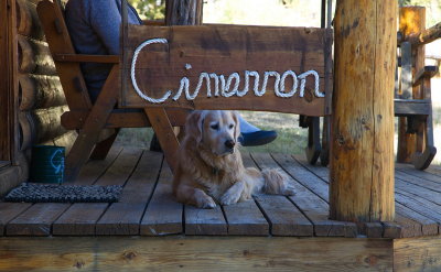 Georgie's View of Cabin Life