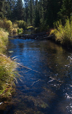 Backwater