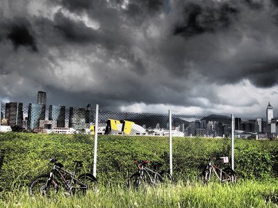 P7281595.jpg