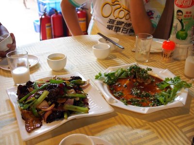 P6301185.jpg