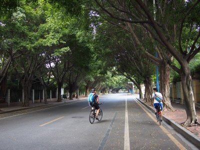 P6301300.jpg