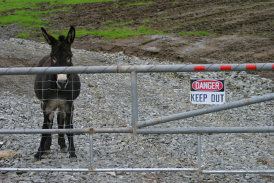 Security WMD