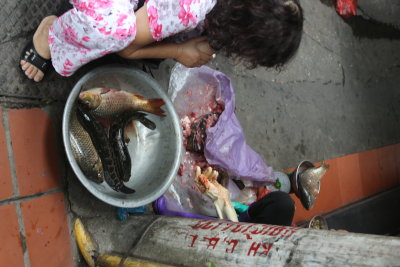 Fresh Fish  Buy from me  Hanoi