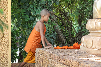 Ta Prohm Temple - Cambodia