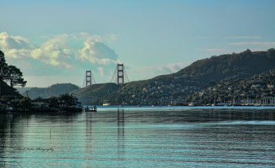 View Golden Gate Bridge from Marin Cty.