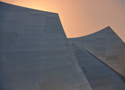 Frank Gehry Architecture   