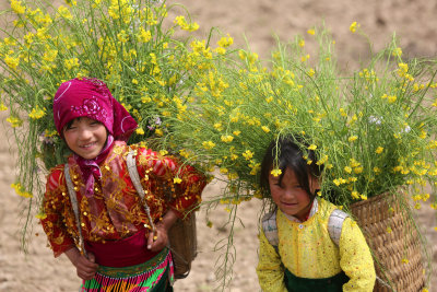 Children from Ha Giang Province 