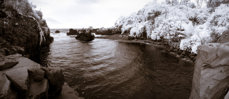 IMG_1096-Edit.jpg