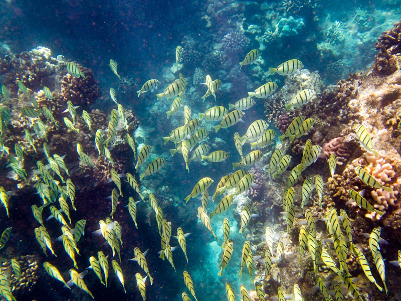 PA020483.jpg