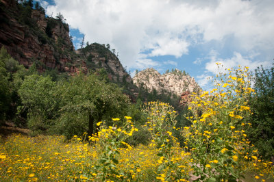 Sedona & Oak Creek