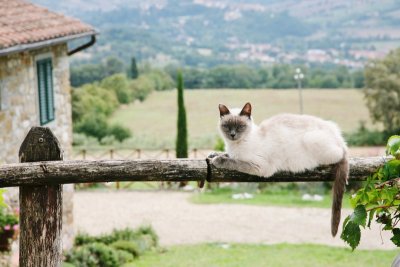 Tuscany, Italy