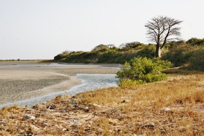 Tanji Wetlands, The Gambia