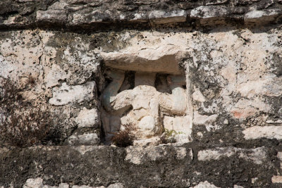 Climbing Maya Pyramid Nohoch Mul of Coba