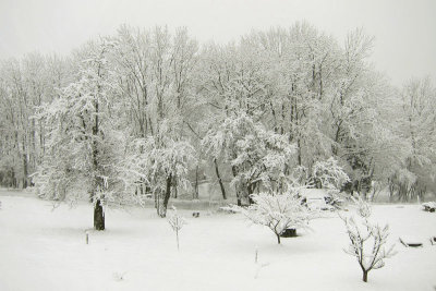 Paysage de neige