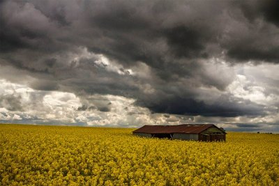 Storm in yellow