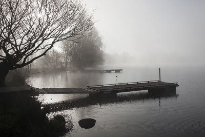 Brume matinale