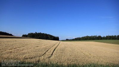 Field on the road