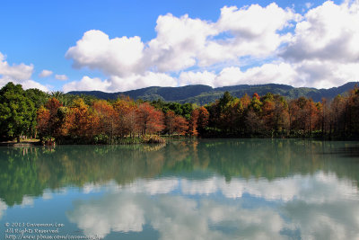 Autumnal Reflection