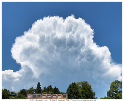 Storm over Jardin Botanique, Geneva