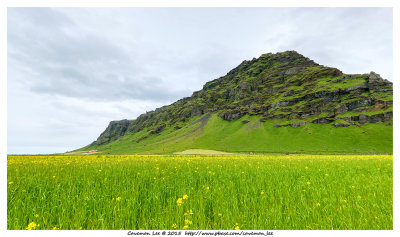 Green Field Near Eyjafjallajokull Erupt