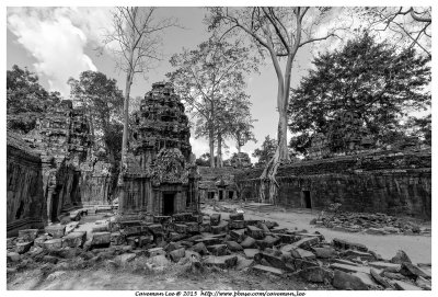 Ta Prohm