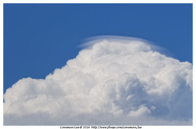 Cumulus Pileus