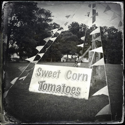 Sweet Corn