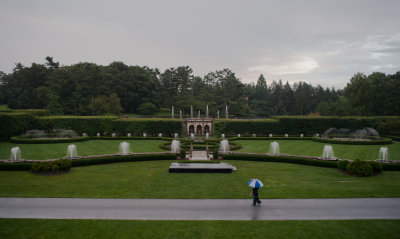 2563.jpg