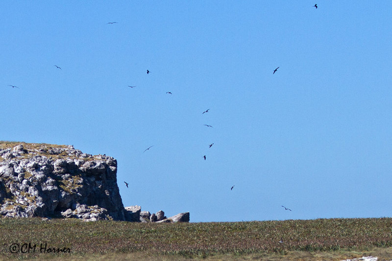 5016 Marietas Islands.jpg