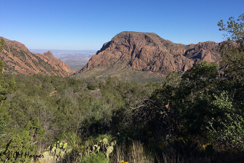 1166 Pinnacles trail view.jpg
