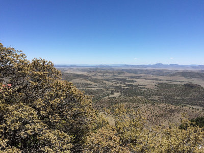1144 Observatory view.jpg