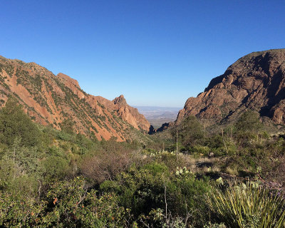 Big Bend National Park Chisos Mountains Pinnacle Trail 30 April 2015