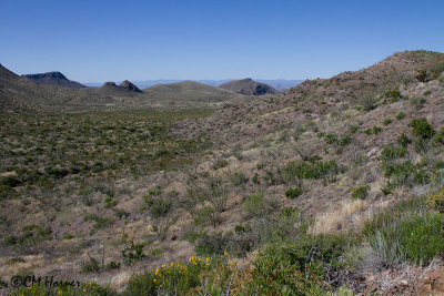 7452 Blue Creek Canyon.jpg