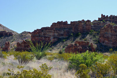 7476 Red Rock formations.jpg