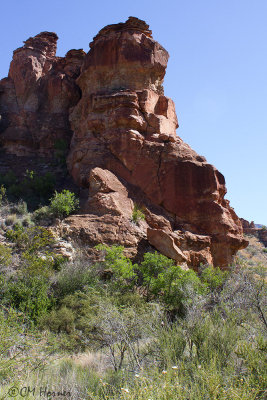 7482 Red rock.jpg