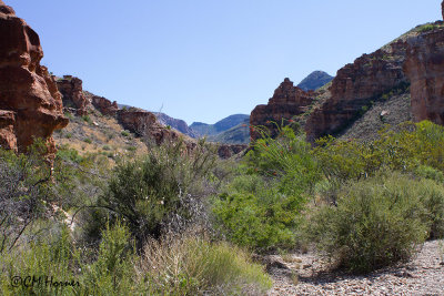 7484 Blue Creek Canyon.jpg