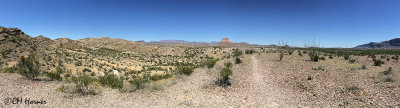1195 Big Bend Desert Pano.jpg