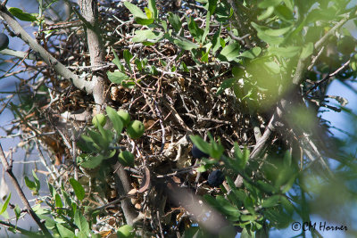 Big Bend National Park Dugout Wells 02 May 2015