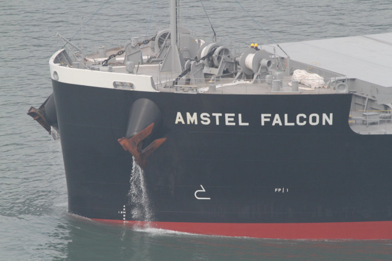 Amstel Falcon - 02 set 2013 - detalhe.JPG