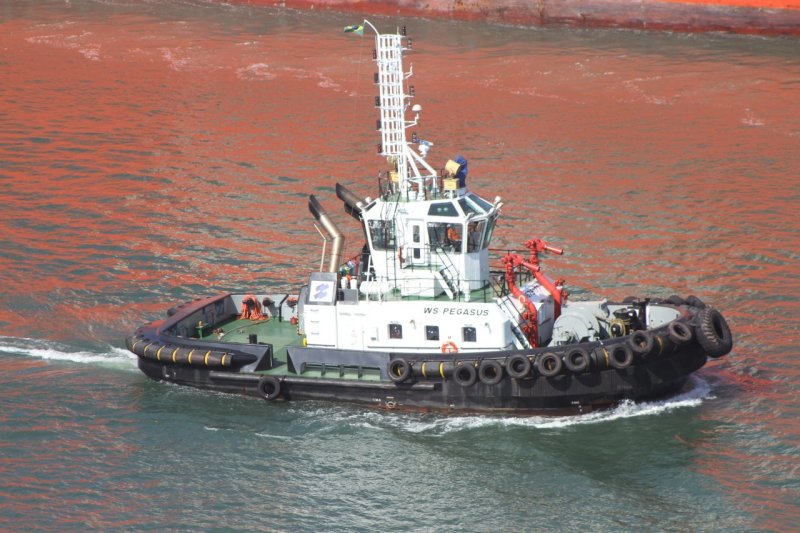 WS Pegasus - 26 jul 2015.JPG